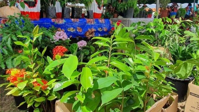 viber_image_2025-09-16_13-20-33-513