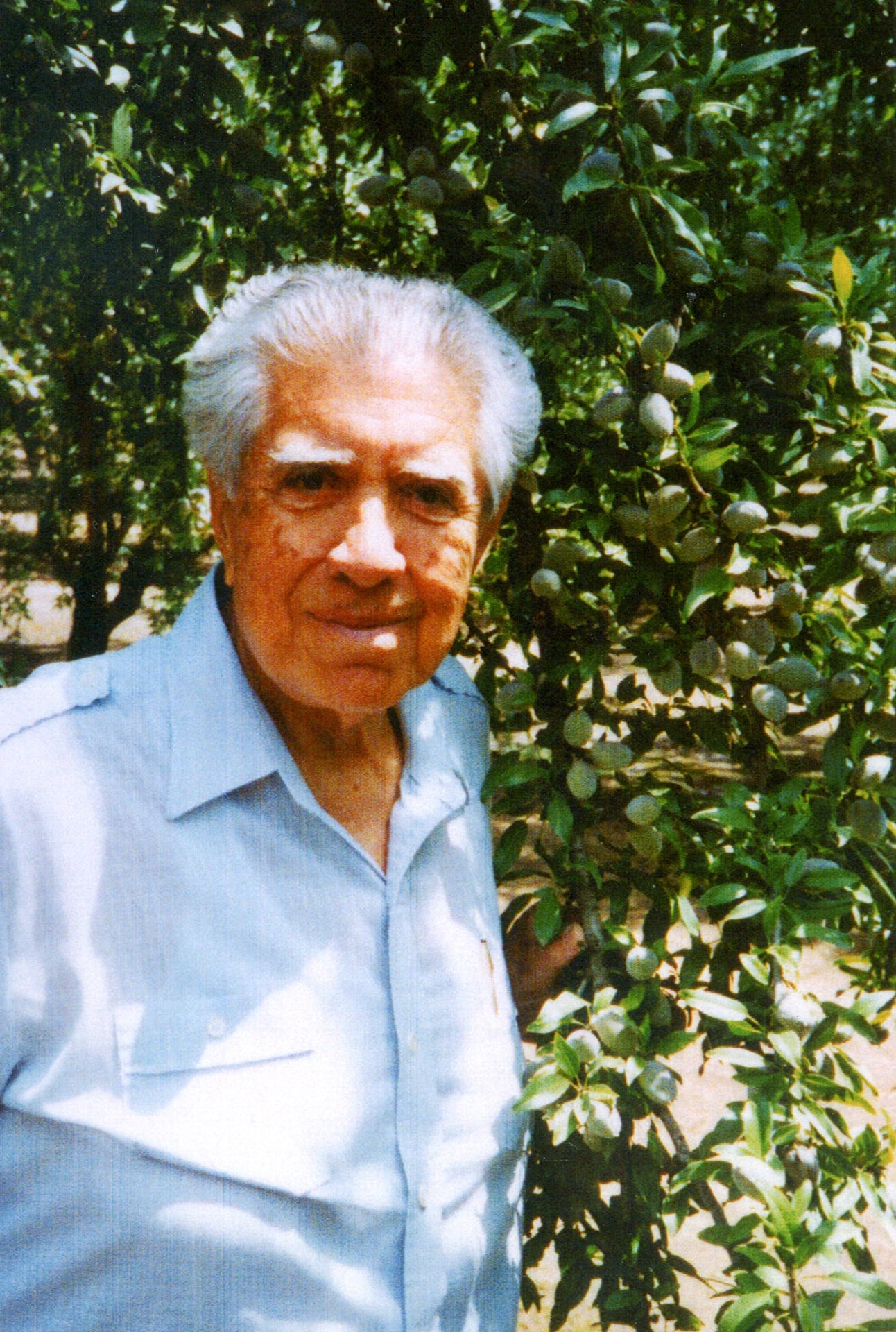 An elder man smiles beside an almond tree heavy with fruit. The archival-style image represents the pioneering spirit that shaped Sharon Naraghi Farms—transforming tough California lands into productive orchards through innovation and stewardship.