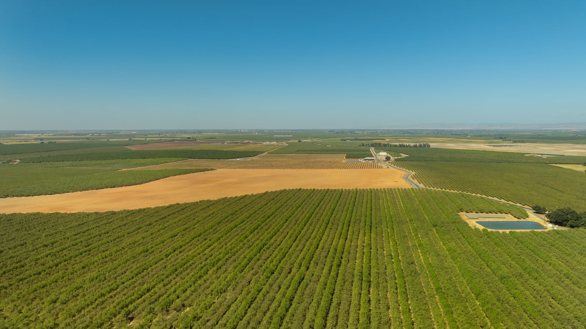 High, wide view across patterned orchard blocks and fields under a clear sky. Straight service roads and irrigation features reveal efficient planning and sustainable water stewardship practiced by Sharon Naraghi Farms in California’s Central Valley.