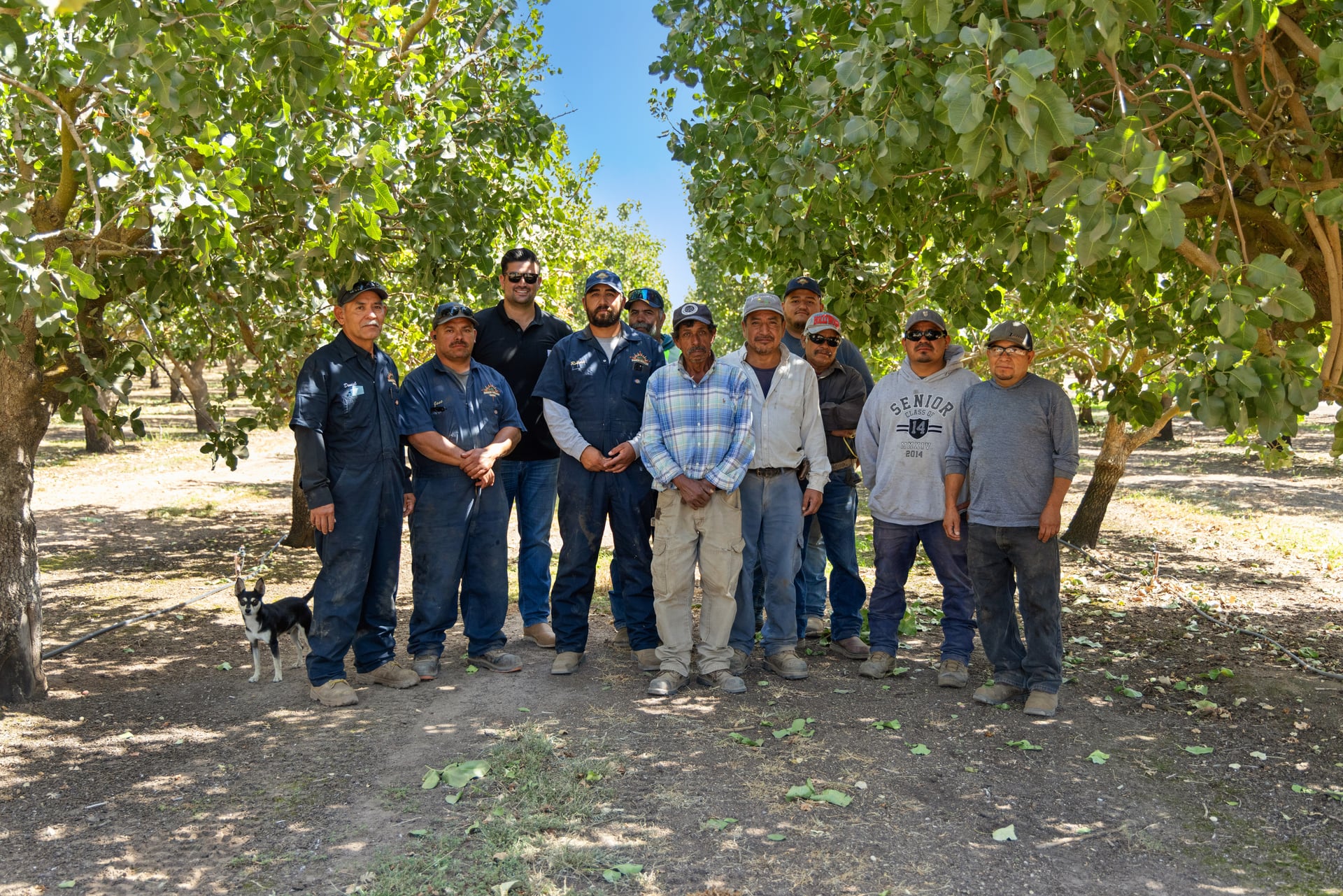 A large field crew stands shoulder-to-shoulder beneath pistachio canopy, with a small farm dog at the edge of the group. Dappled light and fallen leaves convey active season work and teamwork behind the farm’s dependable harvesting services.