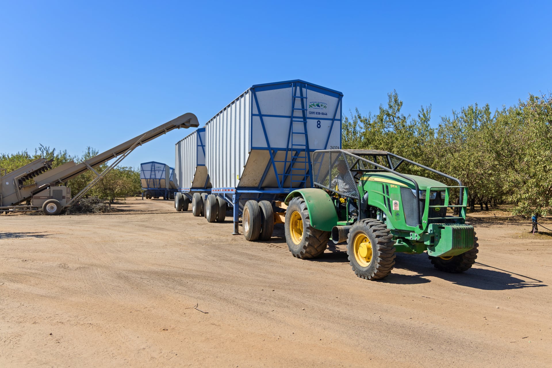 A long conveyor feeds a series of tall blue crop trailers coupled to a green tractor in the staging yard. The setup shows end-to-end logistics that keep product moving quickly from orchard to hauler during peak harvest windows.