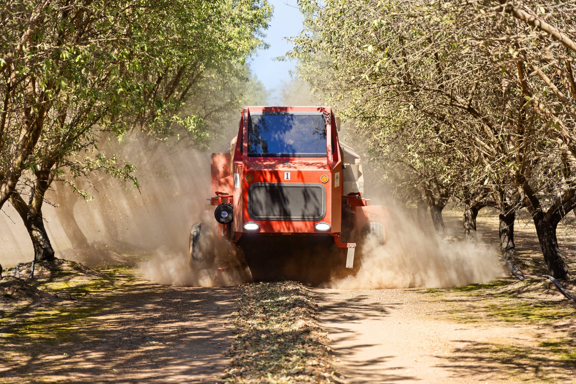 A red shaker advances between trees, its tires lifting dust as the machine heads toward the camera. The scene captures the controlled power and precision timing used to protect trees and deliver a clean, efficient nut drop.