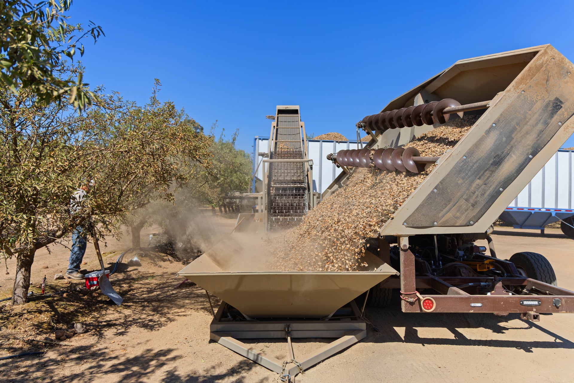 A yellow conveyor offloads a steady stream of nuts into a metal hopper while a crew member oversees the line. Dust haze and layered belts emphasize volume handling with careful cleanliness—key to quality-driven, custom pistachio harvesting.