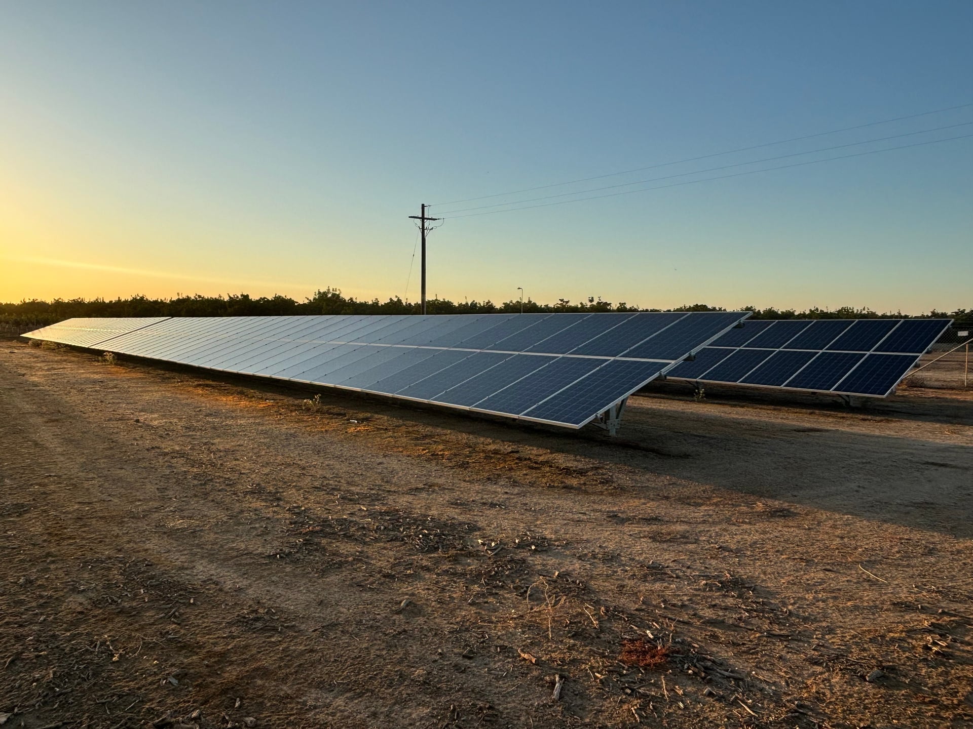 Rows of ground-mounted solar panels stretch beside orchards at sunset. Warm light grazes the frames, underscoring the farm’s long-term investment in sustainable power and resource efficiency within California’s San Joaquin Valley growing region.