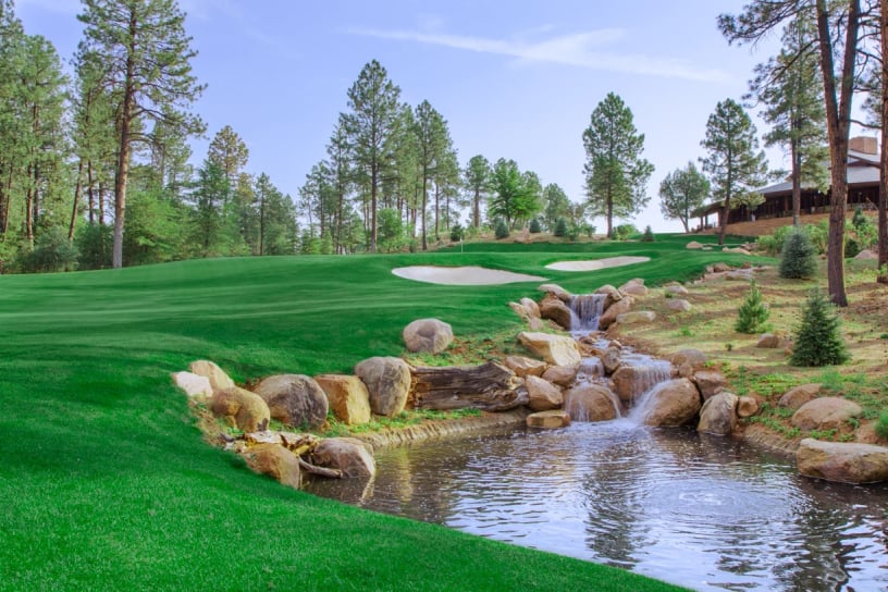 Golf course that is vibrantly green
