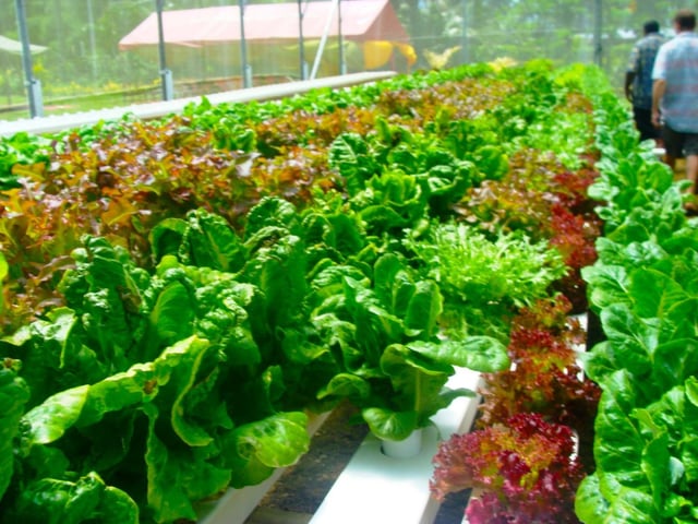 viber_image_2025-09-16_13-20-31-053