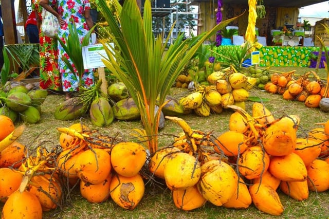 viber_image_2025-09-16_13-20-31-895