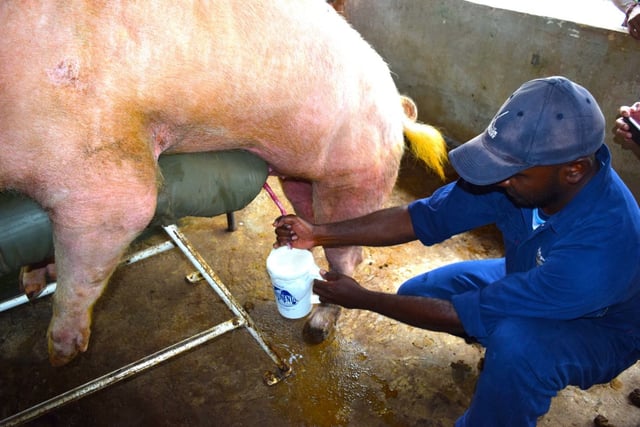 viber_image_2025-09-16_13-20-30-112