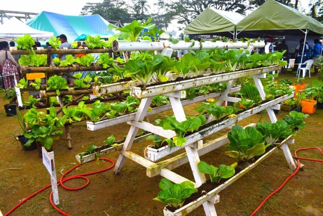 viber_image_2025-09-16_13-20-32-846